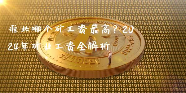 淮北哪个矿工资最高？2024年矿业工资全解析_https://m.jnlaobingbanjia.com_全球市场_第1张