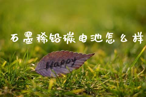 石墨稀铅碳电池怎么样_https://m.jnlaobingbanjia.com_金融监管_第1张