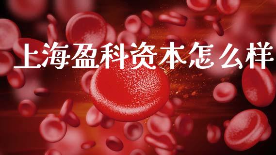 上海盈科资本怎么样_https://m.jnlaobingbanjia.com_全球市场_第1张