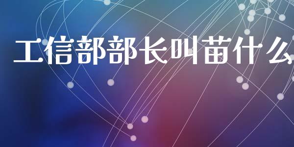工信部部长叫苗什么_https://m.jnlaobingbanjia.com_全球市场_第1张