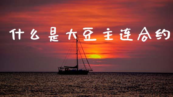 什么是大豆主连合约_https://m.jnlaobingbanjia.com_金融监管_第1张