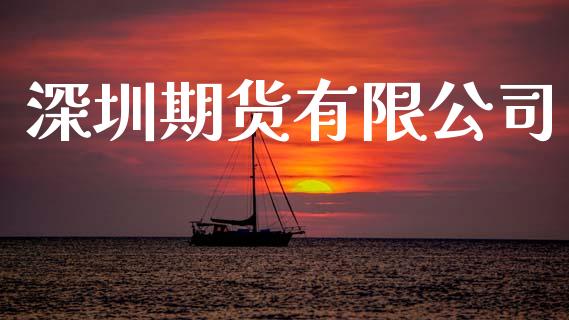 深圳期货有限公司_https://m.jnlaobingbanjia.com_金融监管_第1张