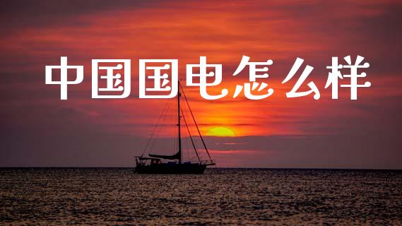 中国国电怎么样_https://m.jnlaobingbanjia.com_理财规划_第1张
