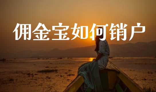佣金宝如何销户_https://m.jnlaobingbanjia.com_股市新闻_第1张