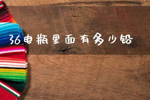 36电瓶里面有多少铅_https://m.jnlaobingbanjia.com_理财规划_第1张