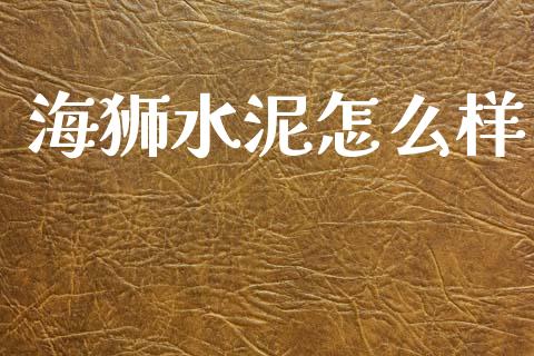 海狮水泥怎么样_https://m.jnlaobingbanjia.com_理财规划_第1张