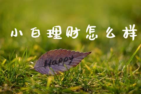 小白理财怎么样_https://m.jnlaobingbanjia.com_基金市场_第1张