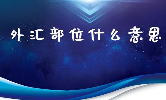 外汇部位什么意思_https://m.jnlaobingbanjia.com_区块链_第1张