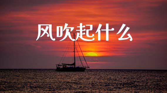 风吹起什么_https://m.jnlaobingbanjia.com_基金市场_第1张