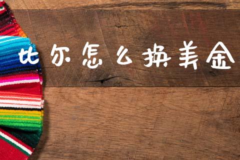 比尔怎么换美金_https://m.jnlaobingbanjia.com_全球市场_第1张