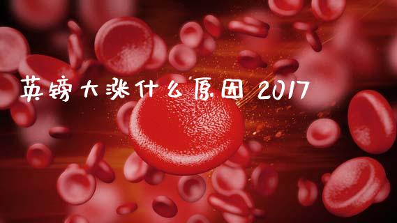 英镑大涨什么原因 2017_https://m.jnlaobingbanjia.com_基金市场_第1张