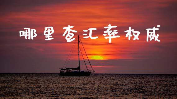 哪里查汇率权威_https://m.jnlaobingbanjia.com_全球市场_第1张