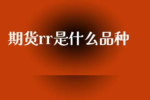 期货rr是什么品种_https://m.jnlaobingbanjia.com_全球市场_第1张