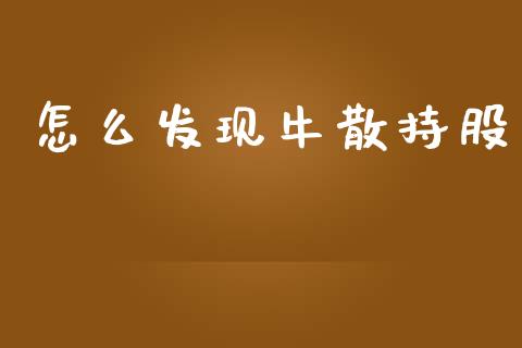 怎么发现牛散持股_https://m.jnlaobingbanjia.com_区块链_第1张