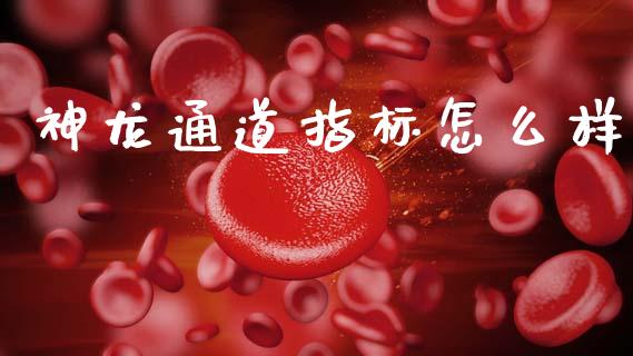 神龙通道指标怎么样_https://m.jnlaobingbanjia.com_理财规划_第1张