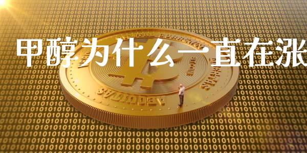 甲醇为什么一直在涨_https://m.jnlaobingbanjia.com_基金市场_第1张