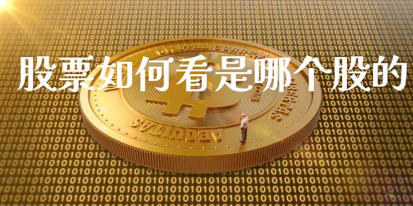 股票如何看是哪个股的_https://m.jnlaobingbanjia.com_股市新闻_第1张