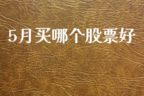 5月买哪个股票好_https://m.jnlaobingbanjia.com_基金市场_第1张