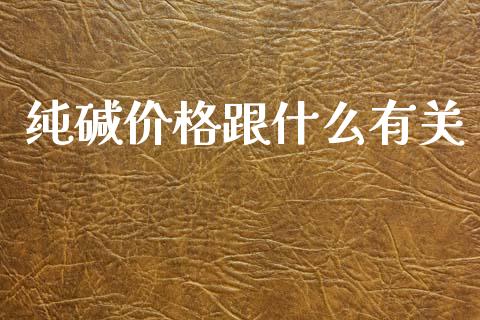 纯碱价格跟什么有关_https://m.jnlaobingbanjia.com_金融监管_第1张