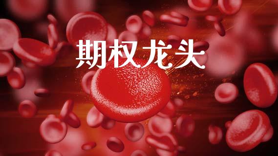 期权龙头_https://m.jnlaobingbanjia.com_全球市场_第1张