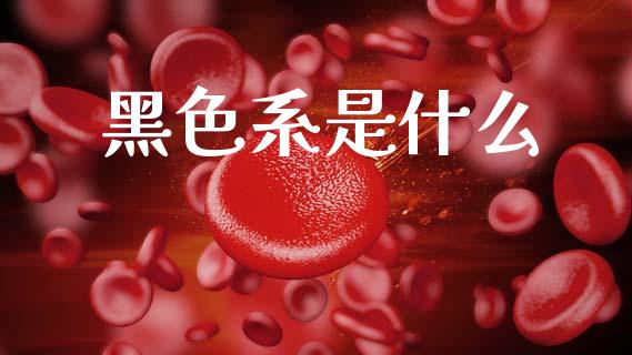 黑色系是什么_https://m.jnlaobingbanjia.com_基金市场_第1张