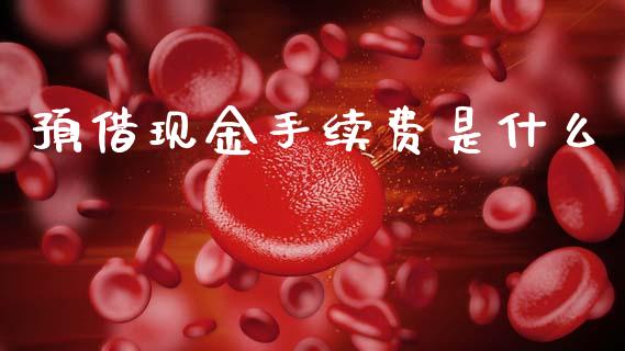 预借现金手续费是什么_https://m.jnlaobingbanjia.com_金融监管_第1张