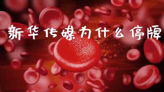 新华传媒为什么停牌_https://m.jnlaobingbanjia.com_理财规划_第1张
