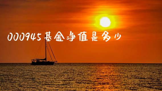 000945基金净值是多少_https://m.jnlaobingbanjia.com_全球市场_第1张