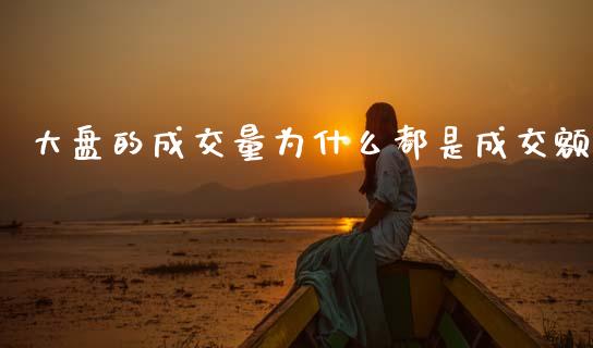 大盘的成交量为什么都是成交额_https://m.jnlaobingbanjia.com_基金市场_第1张