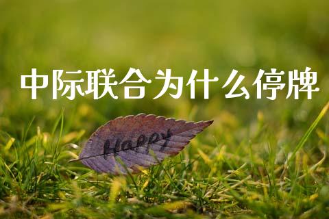 中际联合为什么停牌_https://m.jnlaobingbanjia.com_理财规划_第1张