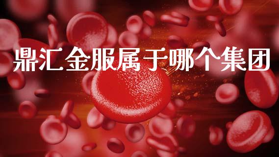 鼎汇金服属于哪个集团_https://m.jnlaobingbanjia.com_全球市场_第1张