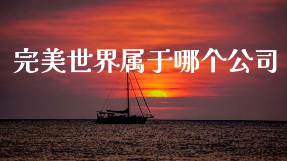 完美世界属于哪个公司_https://m.jnlaobingbanjia.com_股市新闻_第1张