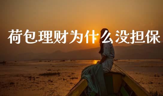 荷包理财为什么没担保_https://m.jnlaobingbanjia.com_金融监管_第1张