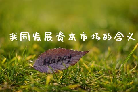 我国发展资本市场的含义_https://m.jnlaobingbanjia.com_全球市场_第1张