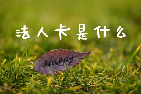 法人卡是什么_https://m.jnlaobingbanjia.com_理财规划_第1张