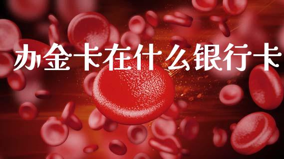 办金卡在什么银行卡_https://m.jnlaobingbanjia.com_金融监管_第1张