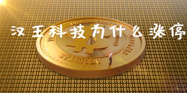 汉王科技为什么涨停_https://m.jnlaobingbanjia.com_金融监管_第1张