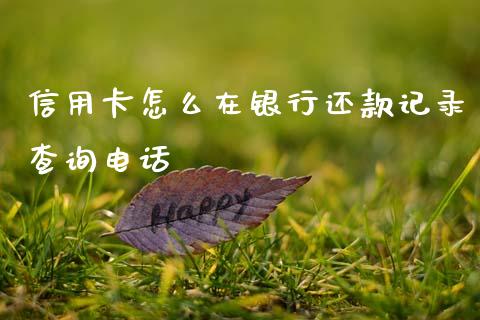 信用卡怎么在银行还款记录查询电话_https://m.jnlaobingbanjia.com_金融监管_第1张