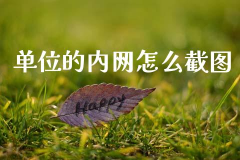 单位的内网怎么截图_https://m.jnlaobingbanjia.com_基金市场_第1张