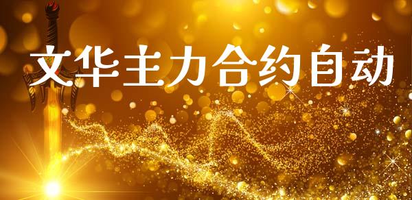 文华主力合约自动_https://m.jnlaobingbanjia.com_全球市场_第1张