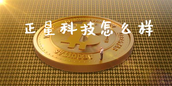 正星科技怎么样_https://m.jnlaobingbanjia.com_全球市场_第1张