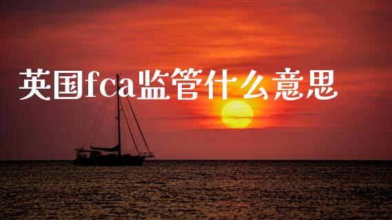 英国fca监管什么意思_https://m.jnlaobingbanjia.com_全球市场_第1张