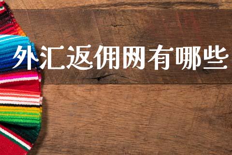 外汇返佣网有哪些_https://m.jnlaobingbanjia.com_金融监管_第1张