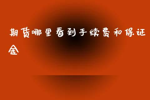 期货哪里看到手续费和保证金_https://m.jnlaobingbanjia.com_区块链_第1张