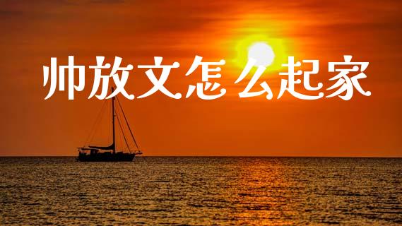 帅放文怎么起家_https://m.jnlaobingbanjia.com_区块链_第1张