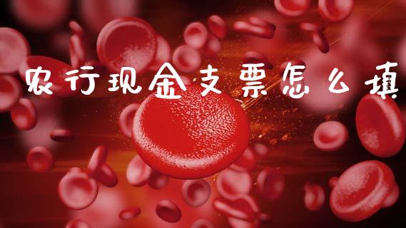 农行现金支票怎么填_https://m.jnlaobingbanjia.com_基金市场_第1张
