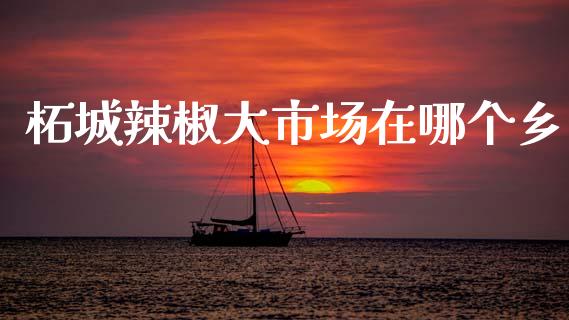 柘城辣椒大市场在哪个乡_https://m.jnlaobingbanjia.com_区块链_第1张