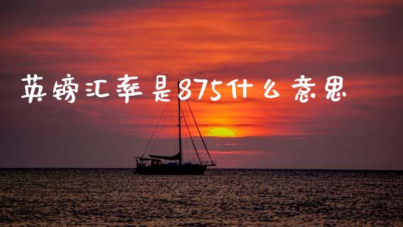 英镑汇率是875什么意思_https://m.jnlaobingbanjia.com_全球市场_第1张