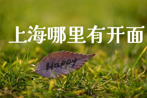 上海哪里有开面_https://m.jnlaobingbanjia.com_股市新闻_第1张