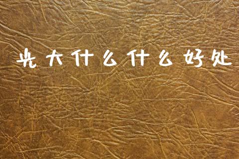 光大什么什么好处_https://m.jnlaobingbanjia.com_基金市场_第1张